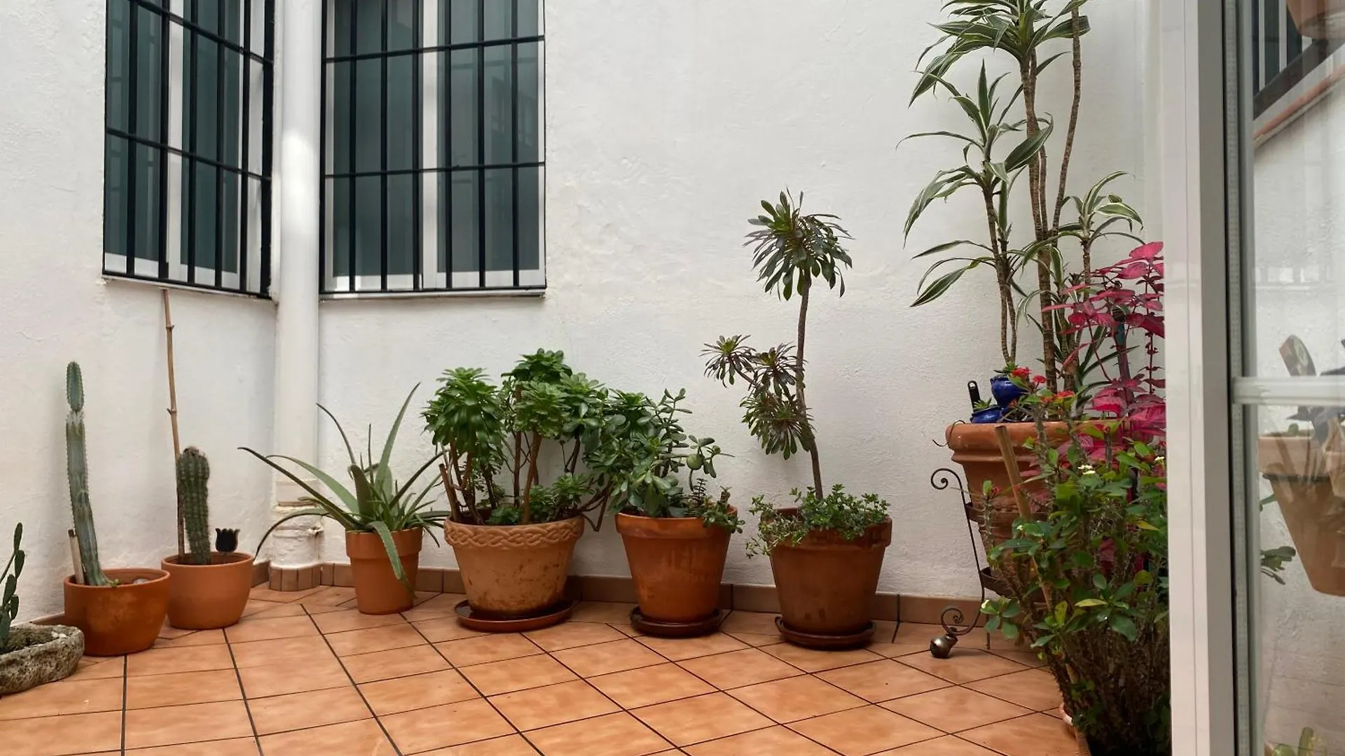 Apartamento Enmitatiko Alcazar Viejo Córdoba